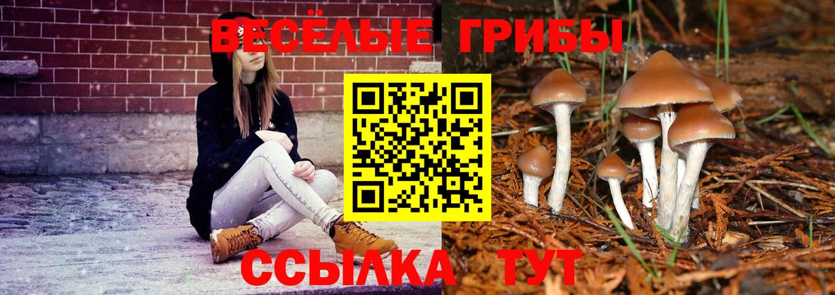 Псилоцибиновые грибы Magic Shrooms  Вход с VPN  купить наркотики сайты  Нефтекумск 