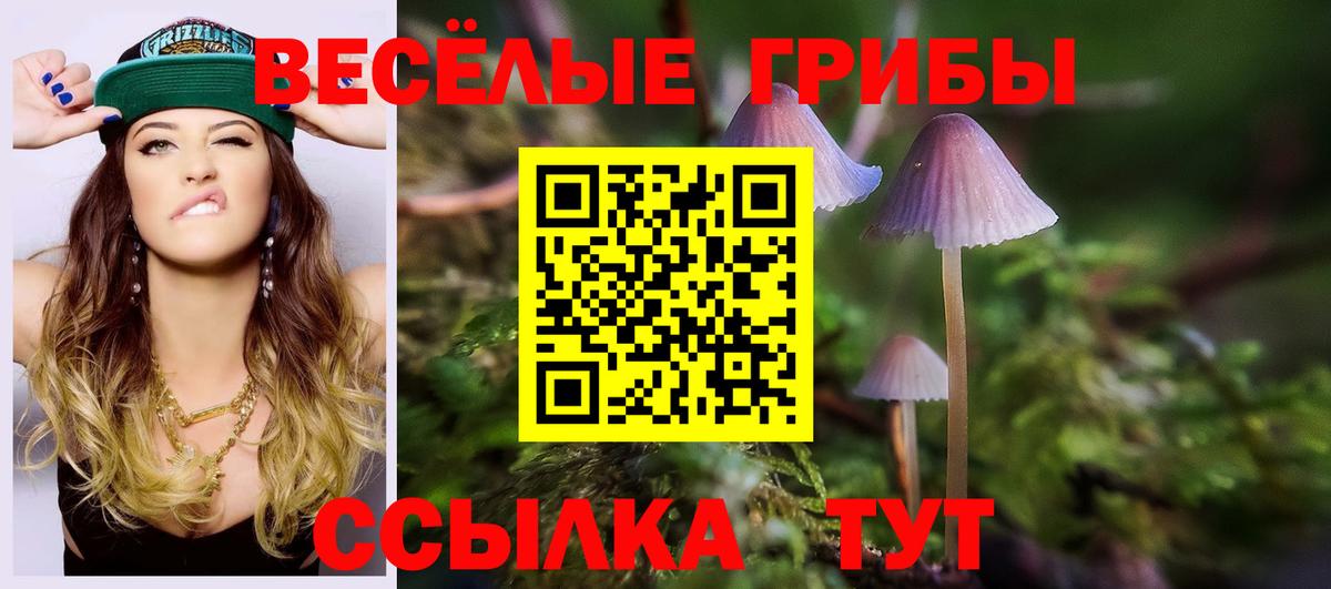 Галлюциногенные грибы Cubensis Нефтекумск